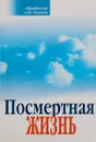 Посмертная жизнь. Беседы современного богослова - А. И. Осипов