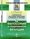 Современное состояние философии в Германии и Франции: Философия в современной Франции - А. И. Введенский