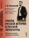 Очерки русской истории и русской литературы. Публичные лекции, читанные в Америке - Волконский С.М.