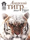 Амурский тигр. Фотоальбом / Amur Tiger: Picture Book - Юрий Дунишенко, Александр Баталов