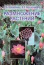 Размножение растений. Учебник - Т. Б. Батыгина, В. Е. Васильева