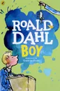 Boy - Roald Dahl