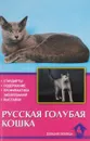 Русская голубая кошка. Стандарты. Содержание. Профилактика заболеваний. Выставки - М. Островская