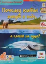 Почему киты живут в воде, а слоны на суше? 3D BOOM - Андрей Евстигнеев, Анна Ященко
