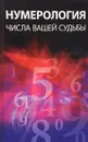 Нумерология. Числа вашей судьбы - Куликова Вера Николаевна