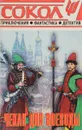 Чекан для воеводы - Александр Зеленский