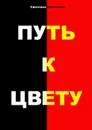 Путь к цвету - Соловьева Светлана