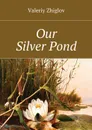 Our Silver Pond - Zhiglov Valeriy