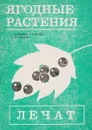 Ягодные растения лечат - Г. Н. Войтенко, Г. Н. Липкан, Д. Л. Горбатюк