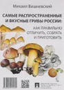 Самые распространенные и вкусные грибы России. Как правильно отличить, собрать и приготовить - Михаил Вишневский