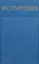 И. С. Тургенев. Письма. Том 11. 1875-1876 - Тургенев Иван Сергеевич