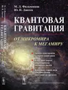 Квантовая гравитация. От микромира к мегамиру - Фильченков М.Л., Лаптев Ю.П.
