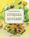 Стрекоза и муравей - В. В. Бианки