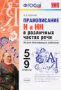 Русский язык. Правописание Н и НН в различных частях речи. 5-9 классы - А. В. Кудинова