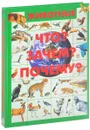 Животные. Что? Зачем? Почему? - Д. И. Ермакович