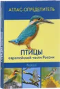 Птицы европейской части России. Атлас-определитель - Редькин Ярослав Андреевич, Коузов Сергей Александрович