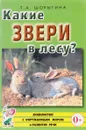 Какие звери в лесу? Книга для воспитателей, гувернеров и родителей - Т. А. Шорыгина