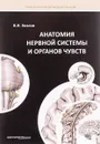 Анатомия нервной системы и органов чувств. Учебное пособие - В. И. Козлов