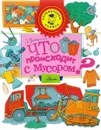 Что происходит с мусором? - Вишневский Дмитрий Александрович