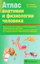 Атлас анатомии и физиологии человека - Р. П. Самусев, Н. Н. Сентябрев