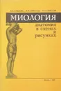 Миология : анатомия в схемах и рисунках - Крылова Н.В., Гирихиди П.М., Кривский И.Л.