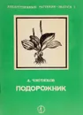 Подорожник - А. Чистяков
