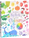 The Usborne Big Book of Colours - Felicity Brooks