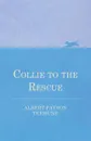 Collie to the Rescue - Albert Payson Terhune