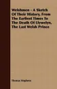 Welshmen - A Sketch of Their History, from the Earliest Times to the Death of Llywelyn, the Last Welsh Prince - Thomas Stephens
