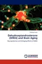 Dehydroepiandrosterone (DHEA) and Brain Aging - Pardeep Kumar