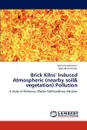 Brick Kilns' Induced Atmospheric (nearby soil & vegetation) Pollution - Ismail Muhammad