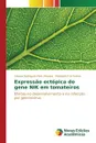 Expressao ectopica do gene NIK em tomateiros - Rodrigues Pires Moreira Silvana