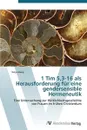 1 Tim 5,3-16 als Herausforderung fur eine gendersensible Hermeneutik - Mang Katja