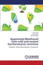 Augmented Bioethanol from wild and mutant Saccharomyces cerevisiae - Aftab Komal