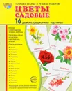 Цветы садовые (набор из 16 демонстрационных картинок) - Т. В. Цветкова