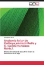 Anatomia Foliar de Cattleya Jenmanii Rolfe y C. Lueddemanniana Rchb.F. - Torres Jhonathan