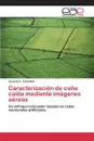 Caracterizacion de cana caida mediante imagenes aereas - Schneider Gerardo E.