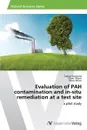 Evaluation of PAH contamination and in-situ remediation at a test site - Sigmund Gabriel