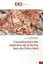 Caracterisation des sediments de la Ravine Bois-de-Chene Haiti - Moliere Emmanuel