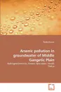 Arsenic pollution in groundwater of Middle Gangetic Plain - Pankaj Kumar