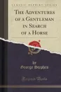 The Adventures of a Gentleman in Search of a Horse (Classic Reprint) - George Stephen