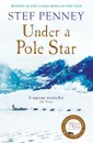 Under a Pole Star - Stef Penney