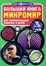 Микромир - О. В. Завязкин