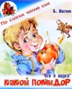 Что я видел. Какой помидор - Б. Житков