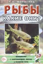 Рыбы. Какие они? - Т. А. Шорыгина