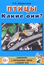 Птицы. Какие они? - Т. А. Шорыгина