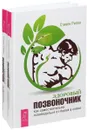 Здоровый позвоночник. Как самостоятельно освободится от болей в спине (комплект из 2 книг) - Стивен Риппл