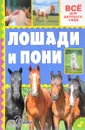 Лошади и пони - Иванова Мария Васильевна; Костикова Ольга Дмитриевна