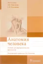 Анатомия человека. Учебник - М. Р. Сапин, Д. Б. Никитюк, С. В. Клочкова