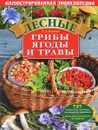 Лесные грибы, ягоды и травы - Т.А. Ильина